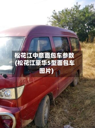 松花江中意面包车参数(松花江豪华5型面包车图片)