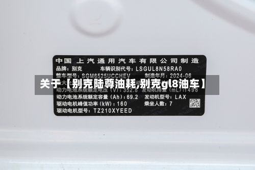 关于【别克陆尊油耗,别克gl8油车】-第2张图片