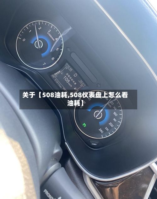 关于【508油耗,508仪表盘上怎么看油耗】