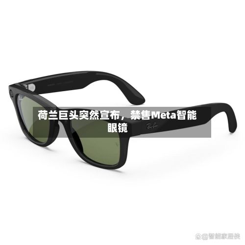 荷兰巨头突然宣布，禁售Meta智能眼镜-第3张图片