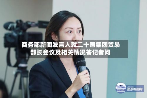 商务部新闻发言人就二十国集团贸易部长会议及相关情况答记者问-第2张图片