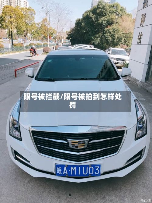 限号被拦截/限号被拍到怎样处罚-第2张图片