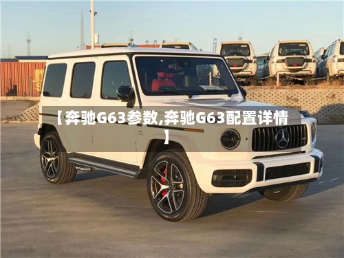 【奔驰G63参数,奔驰G63配置详情】-第2张图片