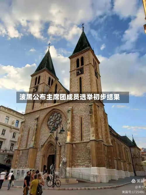 波黑公布主席团成员选举初步结果