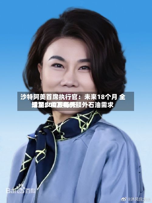 沙特阿美首席执行官：未来18个月 全球至少需要每天增加200万桶的额外石油需求-第2张图片