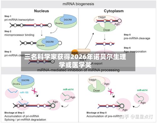 三名科学家获得2026年诺贝尔生理学或医学奖-第3张图片