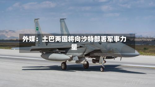 外媒：土巴两国将向沙特部署军事力量