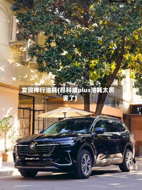 发现神行油耗(昂科威plus油耗太厉害了)-第3张图片