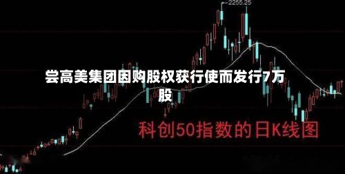 尝高美集团因购股权获行使而发行7万股