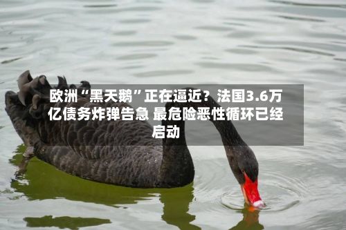 欧洲“黑天鹅”正在逼近？法国3.6万亿债务炸弹告急 最危险恶性循环已经启动-第2张图片