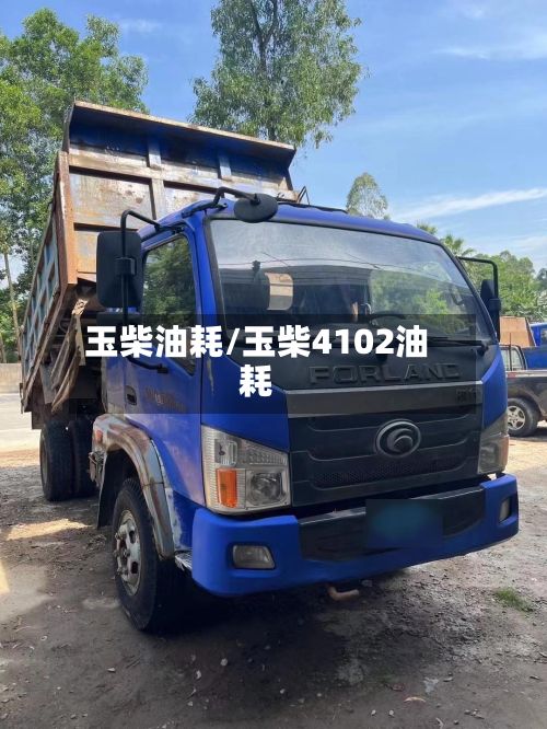 玉柴油耗/玉柴4102油耗-第3张图片