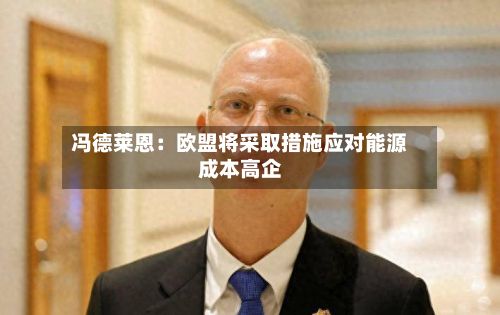 冯德莱恩：欧盟将采取措施应对能源成本高企