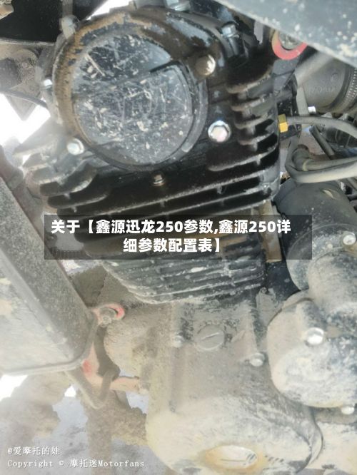 关于【鑫源迅龙250参数,鑫源250详细参数配置表】