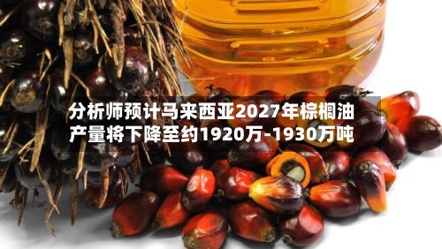 分析师预计马来西亚2027年棕榈油产量将下降至约1920万-1930万吨
