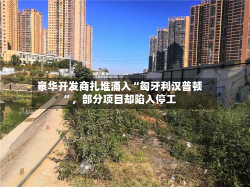 豪华开发商扎堆涌入“匈牙利汉普顿”，部分项目却陷入停工-第2张图片