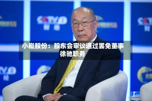 小崧股份：股东会审议通过罢免董事徐驰职务