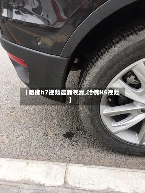 【哈佛h7视频最新视频,哈佛H5视频】-第3张图片