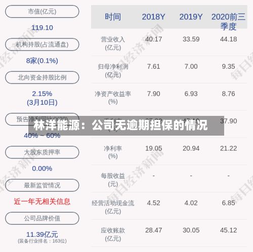 林洋能源：公司无逾期担保的情况