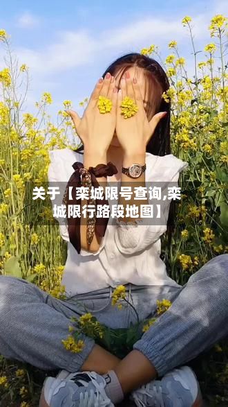 关于【栾城限号查询,栾城限行路段地图】-第2张图片