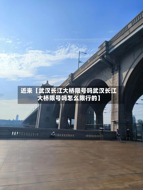 近来【武汉长江大桥限号吗武汉长江大桥限号吗怎么限行的】-第2张图片