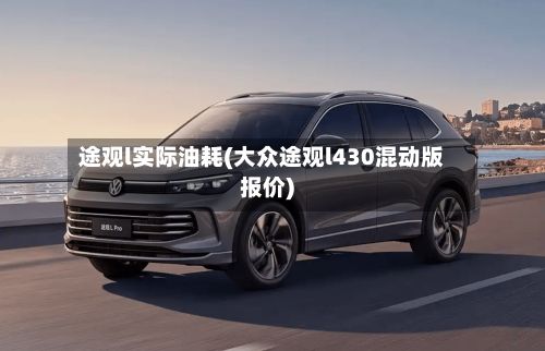 途观l实际油耗(大众途观l430混动版报价)-第2张图片