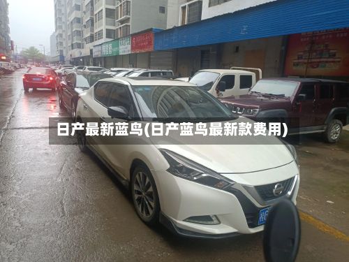 日产最新蓝鸟(日产蓝鸟最新款费用)-第2张图片