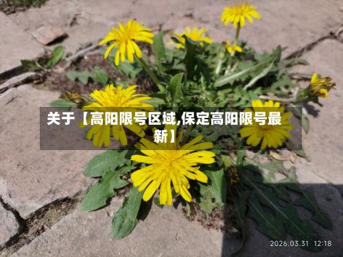关于【高阳限号区域,保定高阳限号最新】-第2张图片