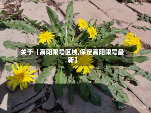关于【高阳限号区域,保定高阳限号最新】