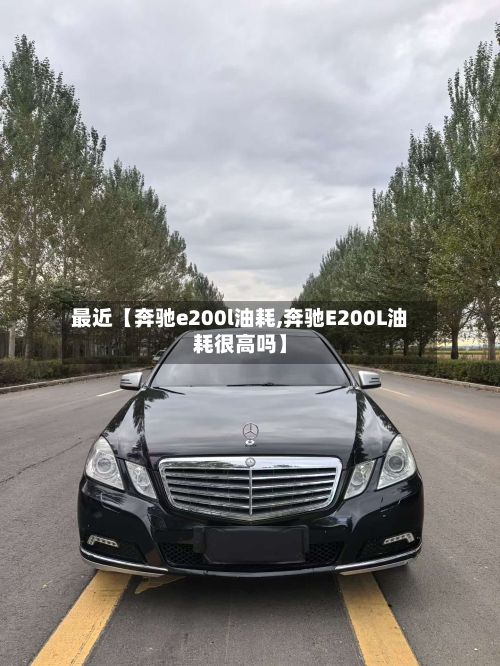 最近【奔驰e200l油耗,奔驰E200L油耗很高吗】-第3张图片
