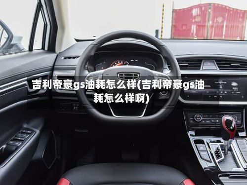 吉利帝豪gs油耗怎么样(吉利帝豪gs油耗怎么样啊)-第2张图片