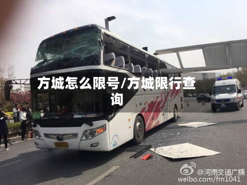 方城怎么限号/方城限行查询-第3张图片