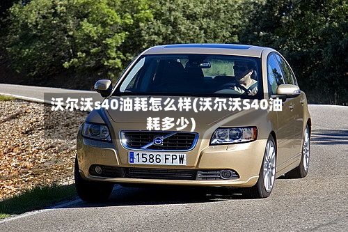 沃尔沃s40油耗怎么样(沃尔沃S40油耗多少)-第2张图片