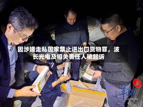 因涉嫌走私国家禁止进出口货物罪	，波长光电及相关责任人被起诉-第2张图片