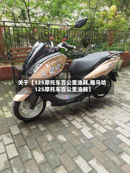 关于【125摩托车百公里油耗,雅马哈125摩托车百公里油耗】