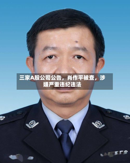 三家A股公司公告，肖作平被查	，涉嫌严重违纪违法-第2张图片