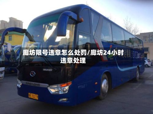 廊坊限号违章怎么处罚/廊坊24小时违章处理-第2张图片