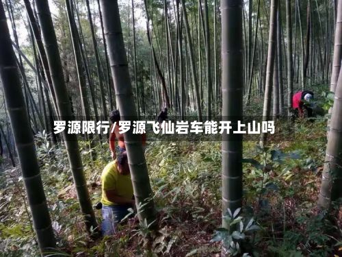 罗源限行/罗源飞仙岩车能开上山吗