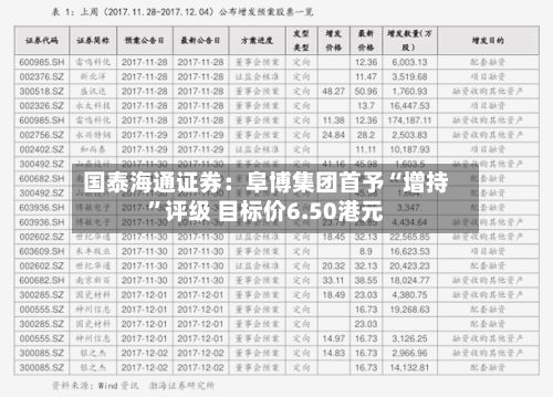 国泰海通证券：阜博集团首予“增持	”评级 目标价6.50港元-第2张图片