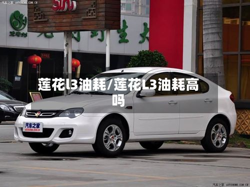 莲花l3油耗/莲花L3油耗高吗-第2张图片