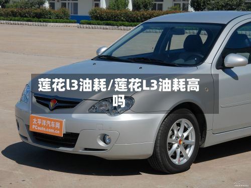 莲花l3油耗/莲花L3油耗高吗-第3张图片