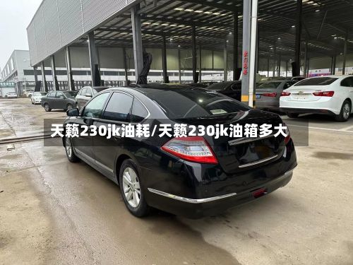 天籁230jk油耗/天籁230jk油箱多大