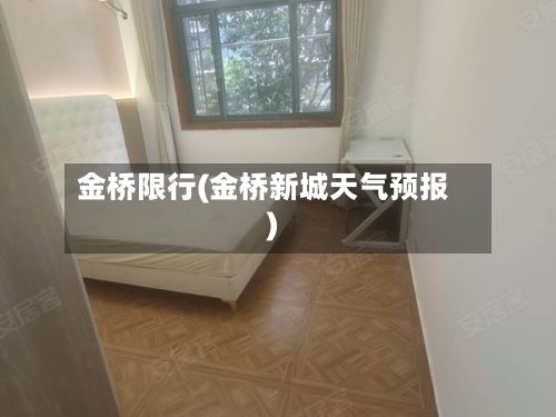 金桥限行(金桥新城天气预报)-第3张图片
