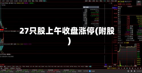 27只股上午收盘涨停(附股)-第2张图片