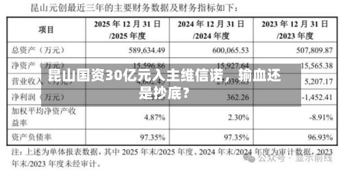 昆山国资30亿元入主维信诺，输血还是抄底？-第2张图片