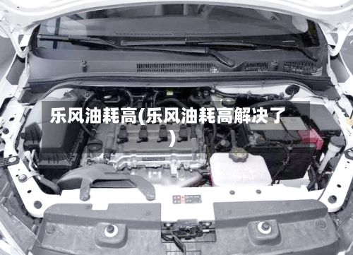 乐风油耗高(乐风油耗高解决了)