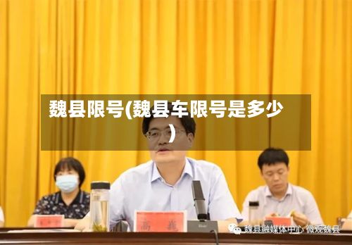 魏县限号(魏县车限号是多少)-第2张图片