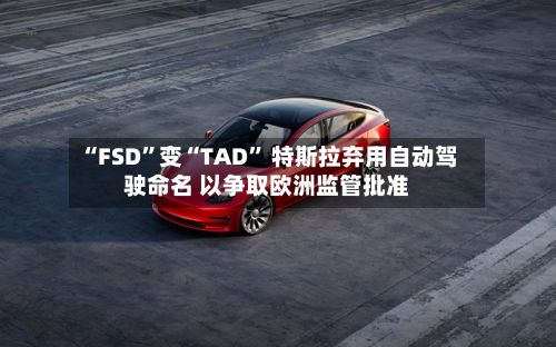 “FSD”变“TAD” 特斯拉弃用自动驾驶命名 以争取欧洲监管批准-第3张图片