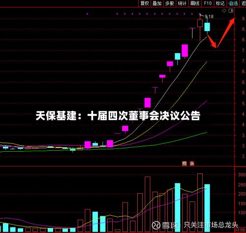 天保基建：十届四次董事会决议公告