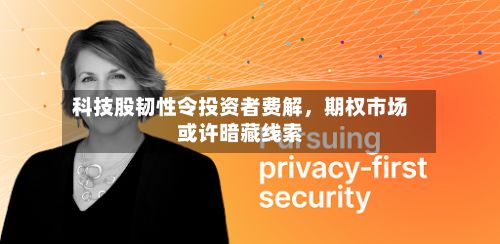 科技股韧性令投资者费解，期权市场或许暗藏线索-第2张图片