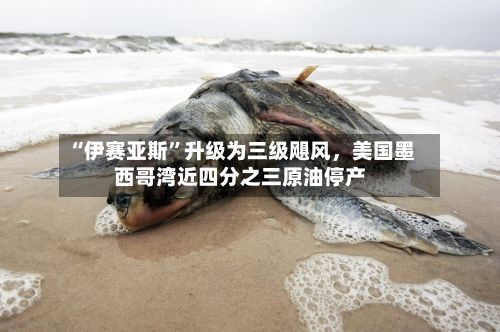 “伊赛亚斯”升级为三级飓风，美国墨西哥湾近四分之三原油停产